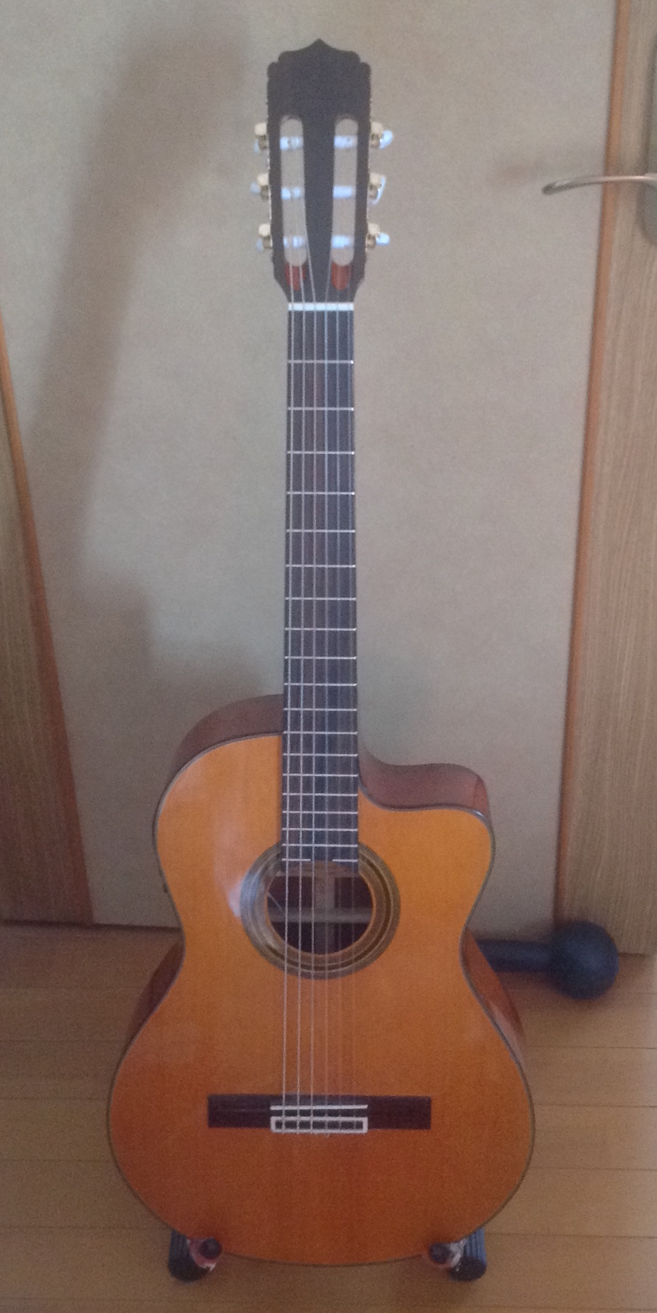 ARIA A-35CE Basic (Electric Cutaway)